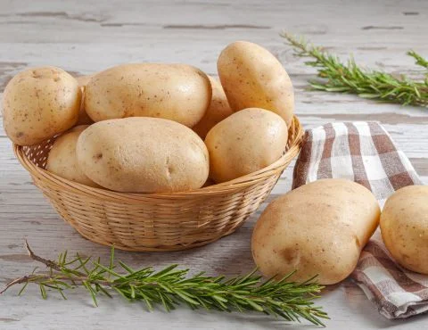 Potato