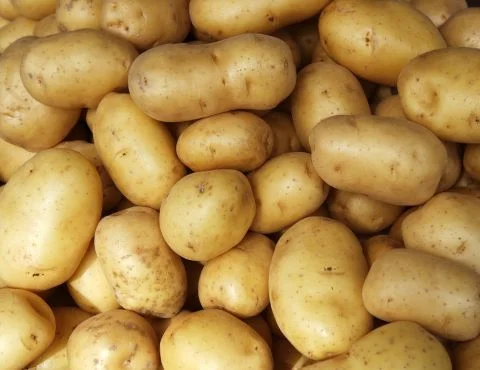 Potatoes